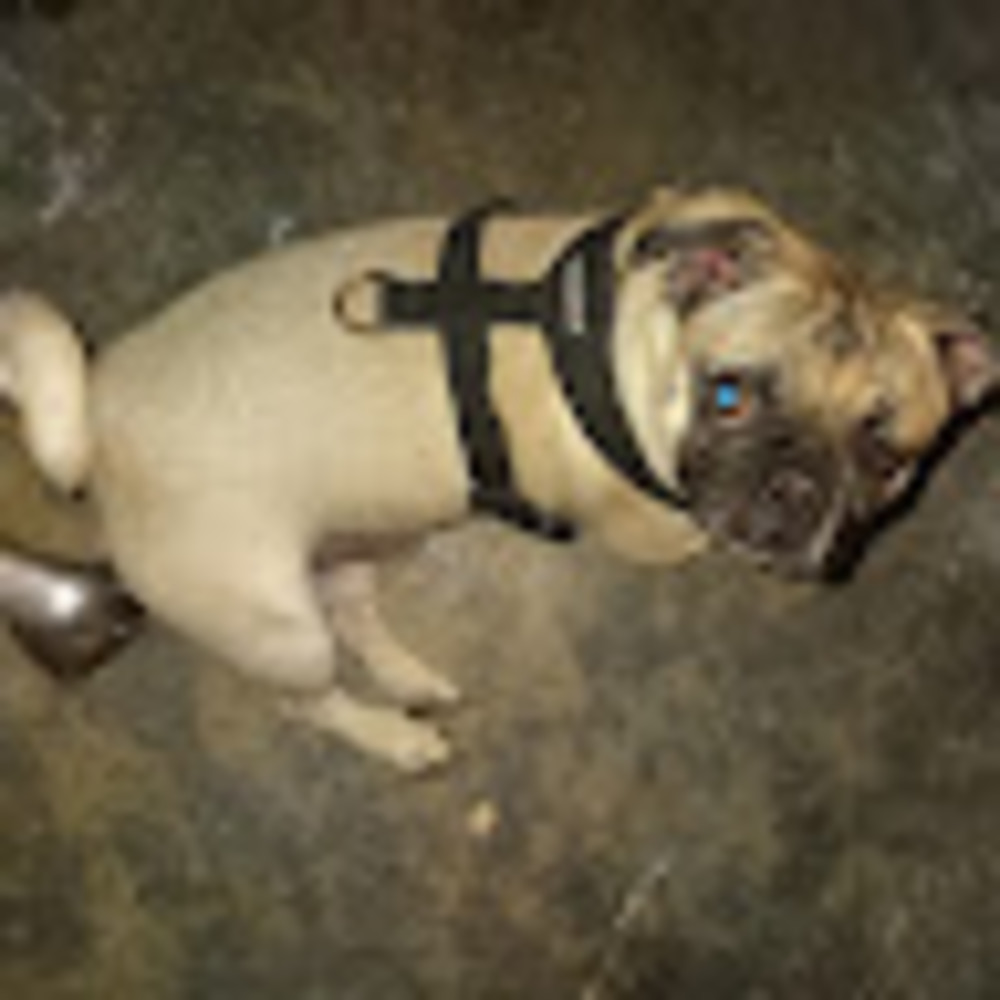 Meet your Posher, Sean